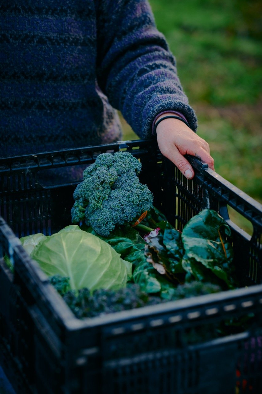   Photo courtesy of Daniel Knowles  