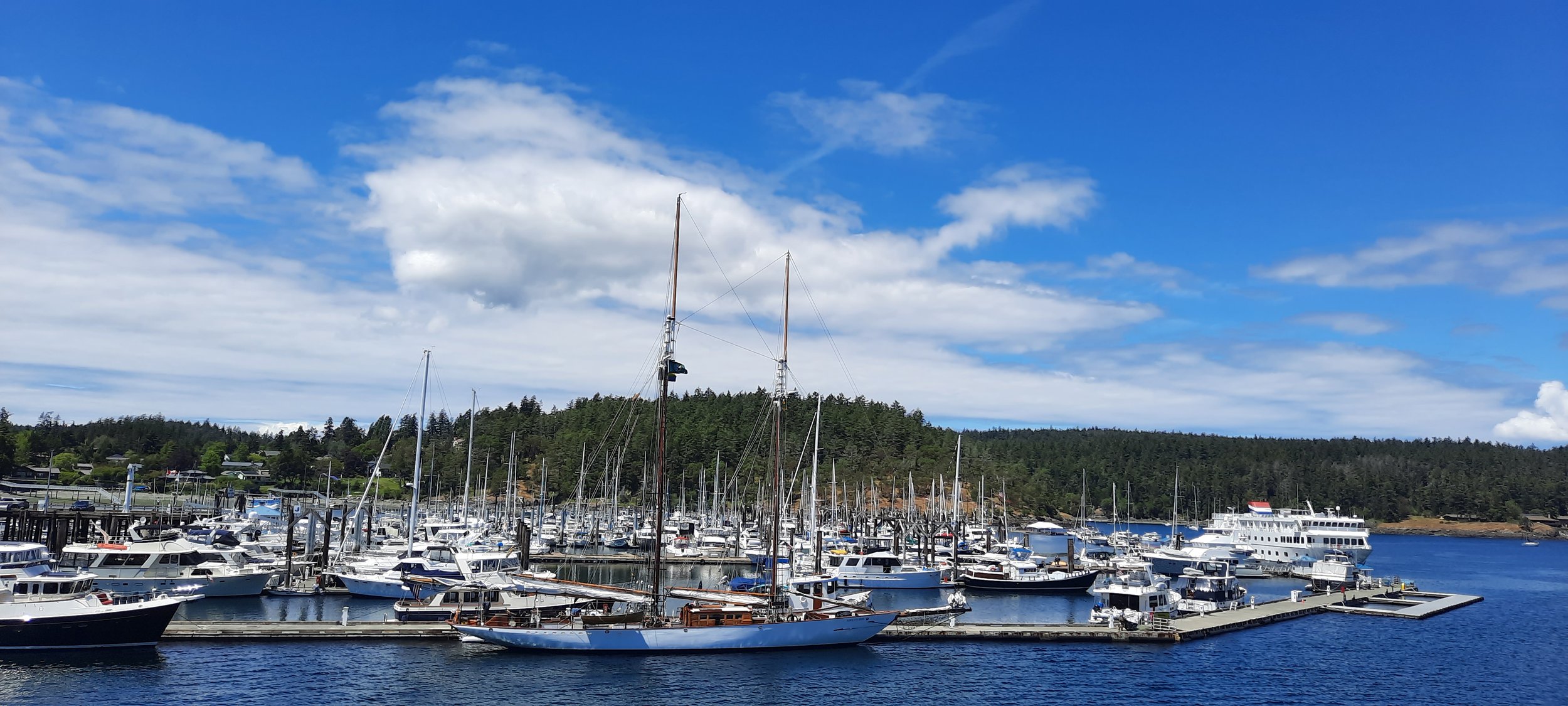   Adventuress is an educational vessel that sails all over the Salish Sea with youth groups from schools and other organizations.  