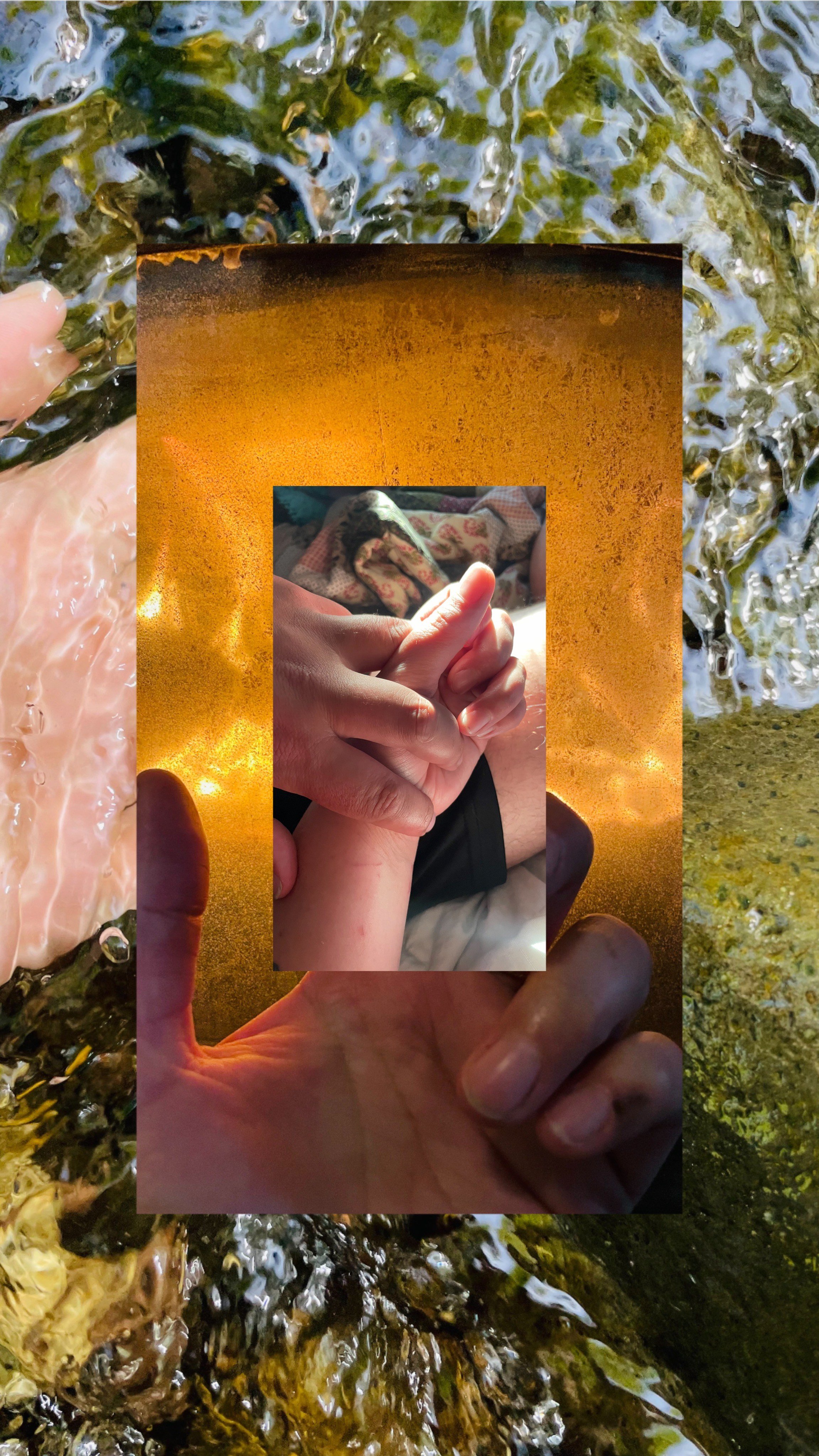   Photo by Amber Autumn Leaves Huntsman  