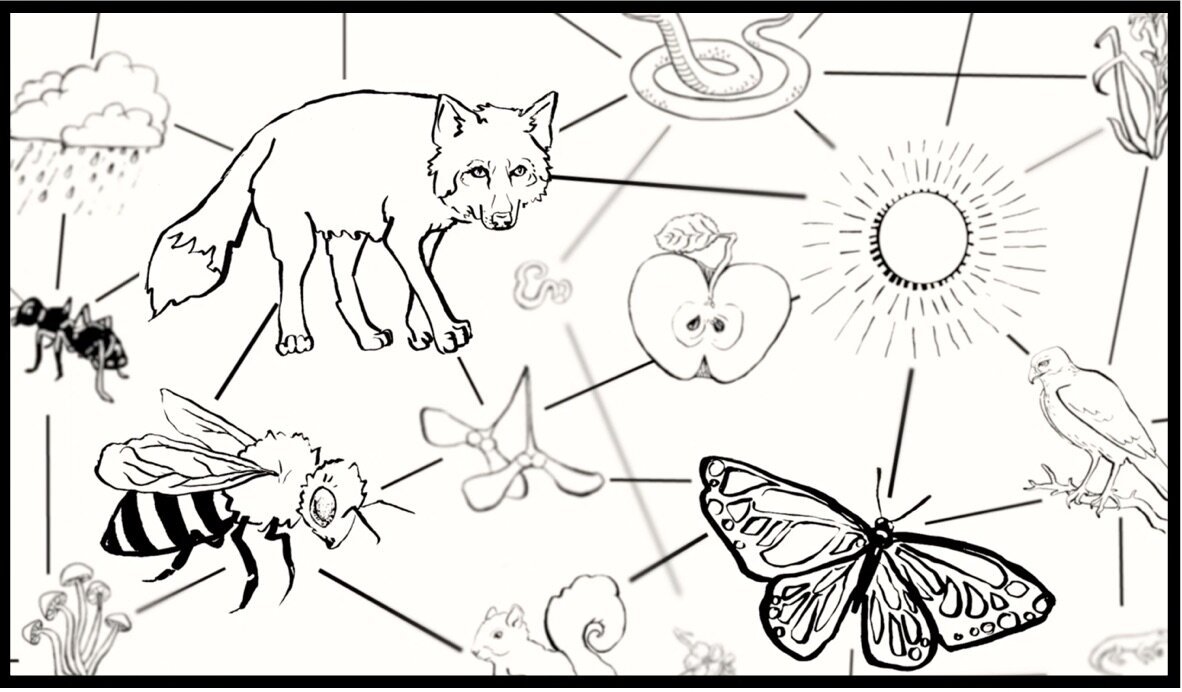   Image courtesy of connectivityproject.com  