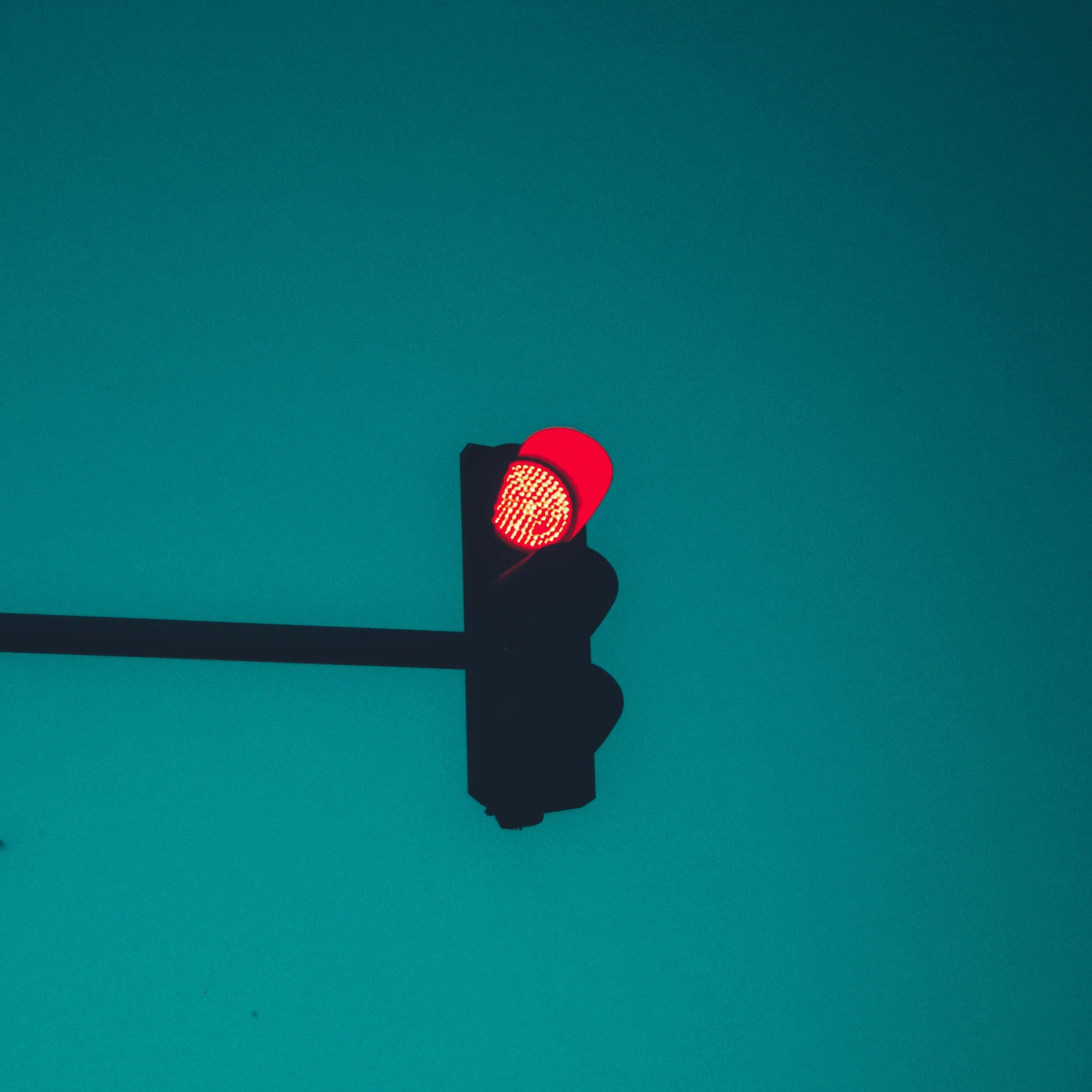   Photo by    almani ماني    on    Unsplash            