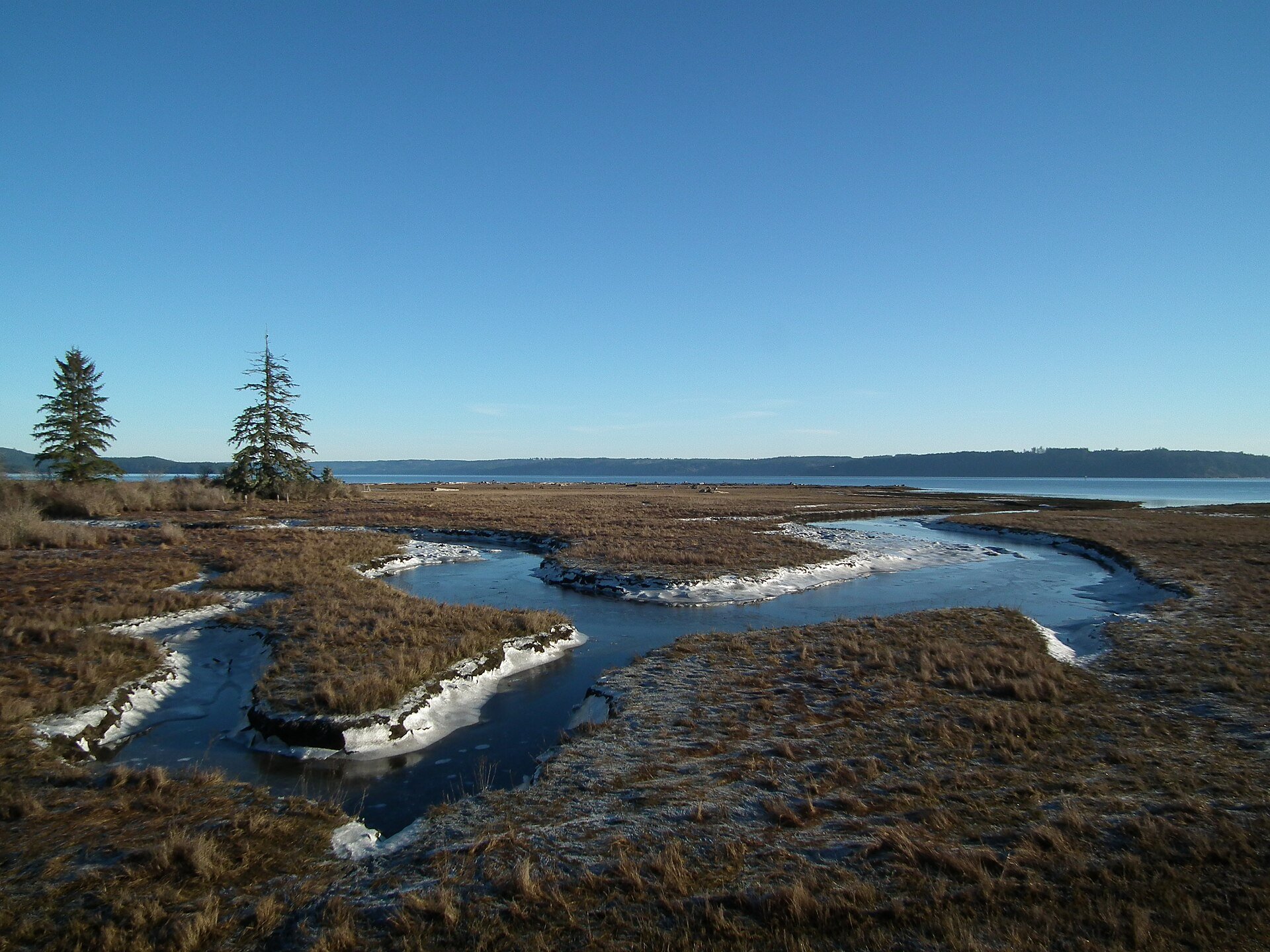 Tidal shoreline near the estuary of the Dosewallips River, Dosewallips State Park