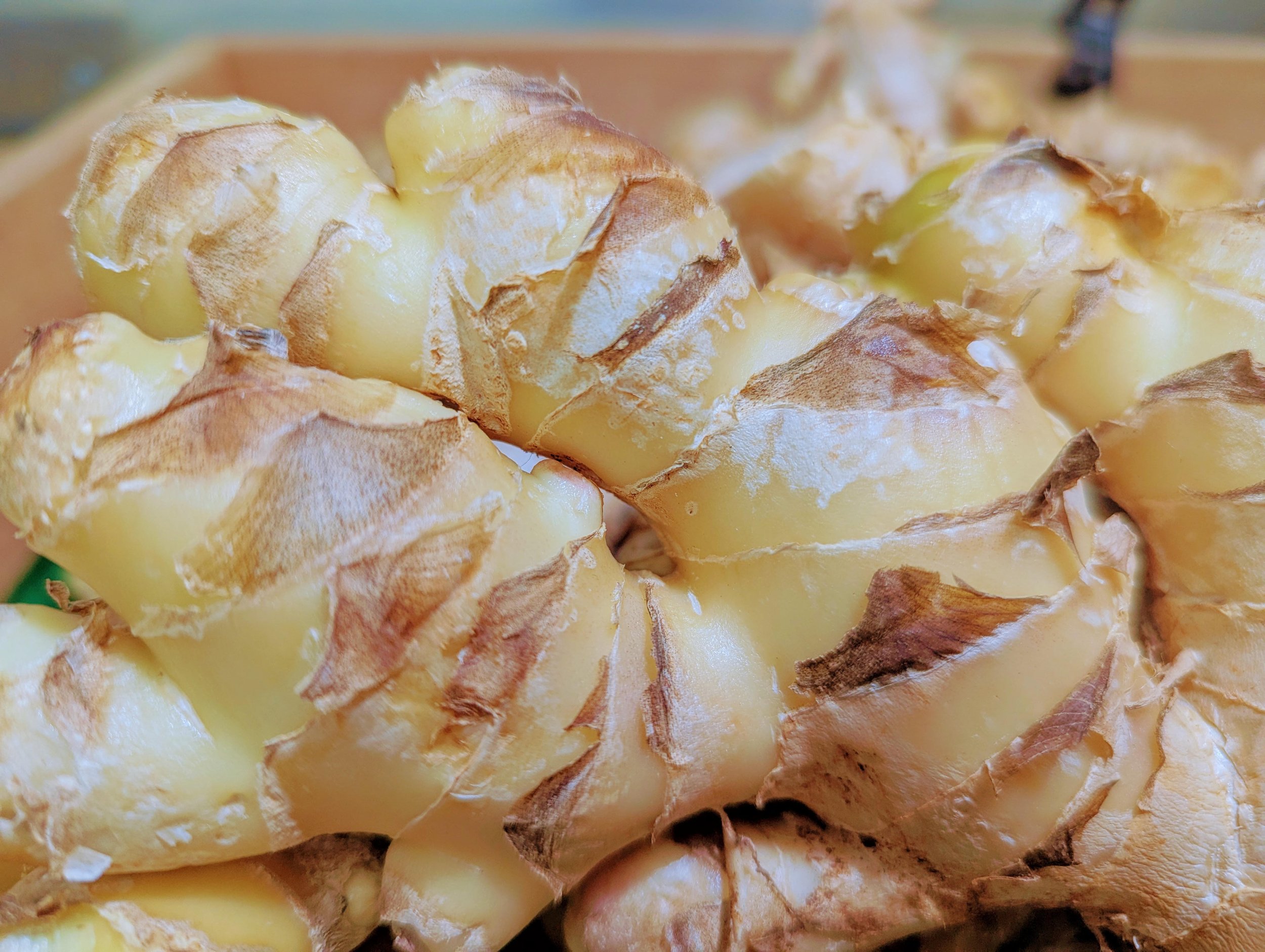 Photo by Eden Blooms.