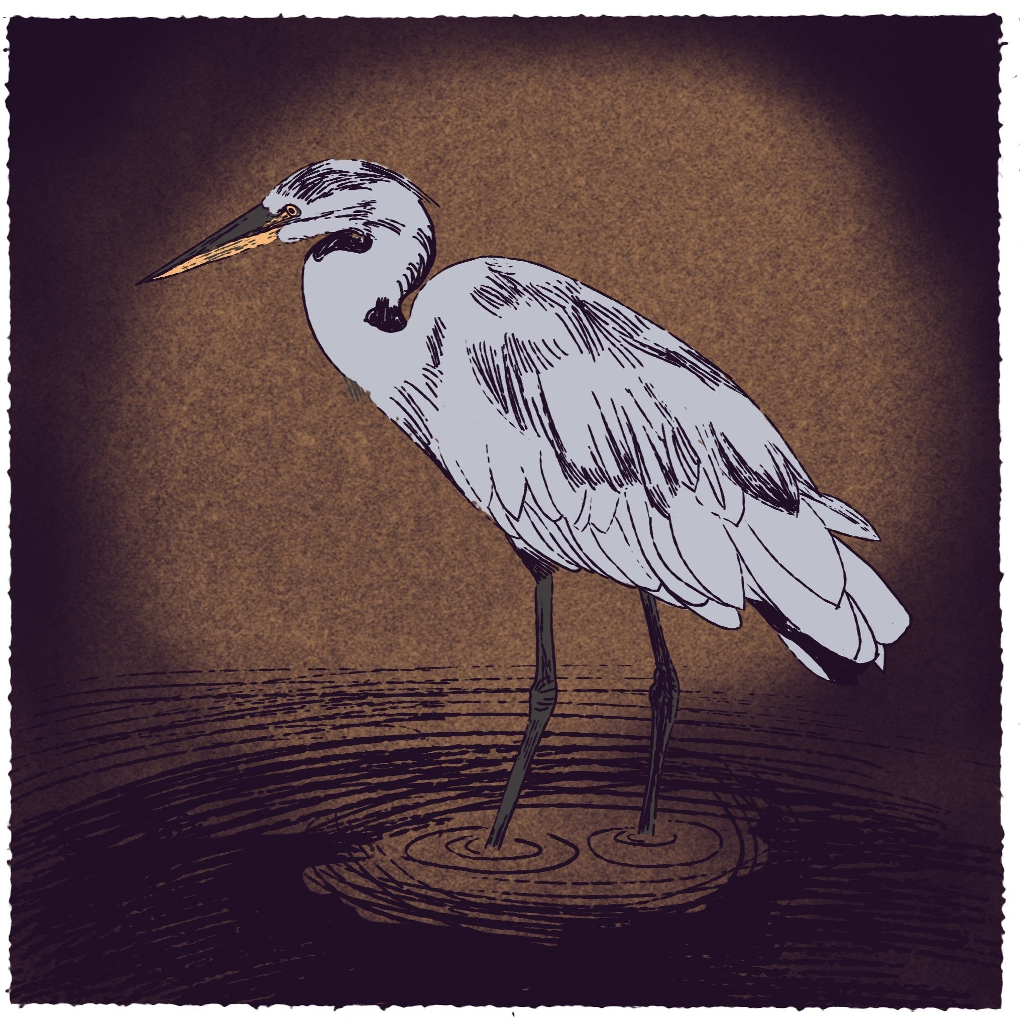  Illustration by Nhatt Nichols. 