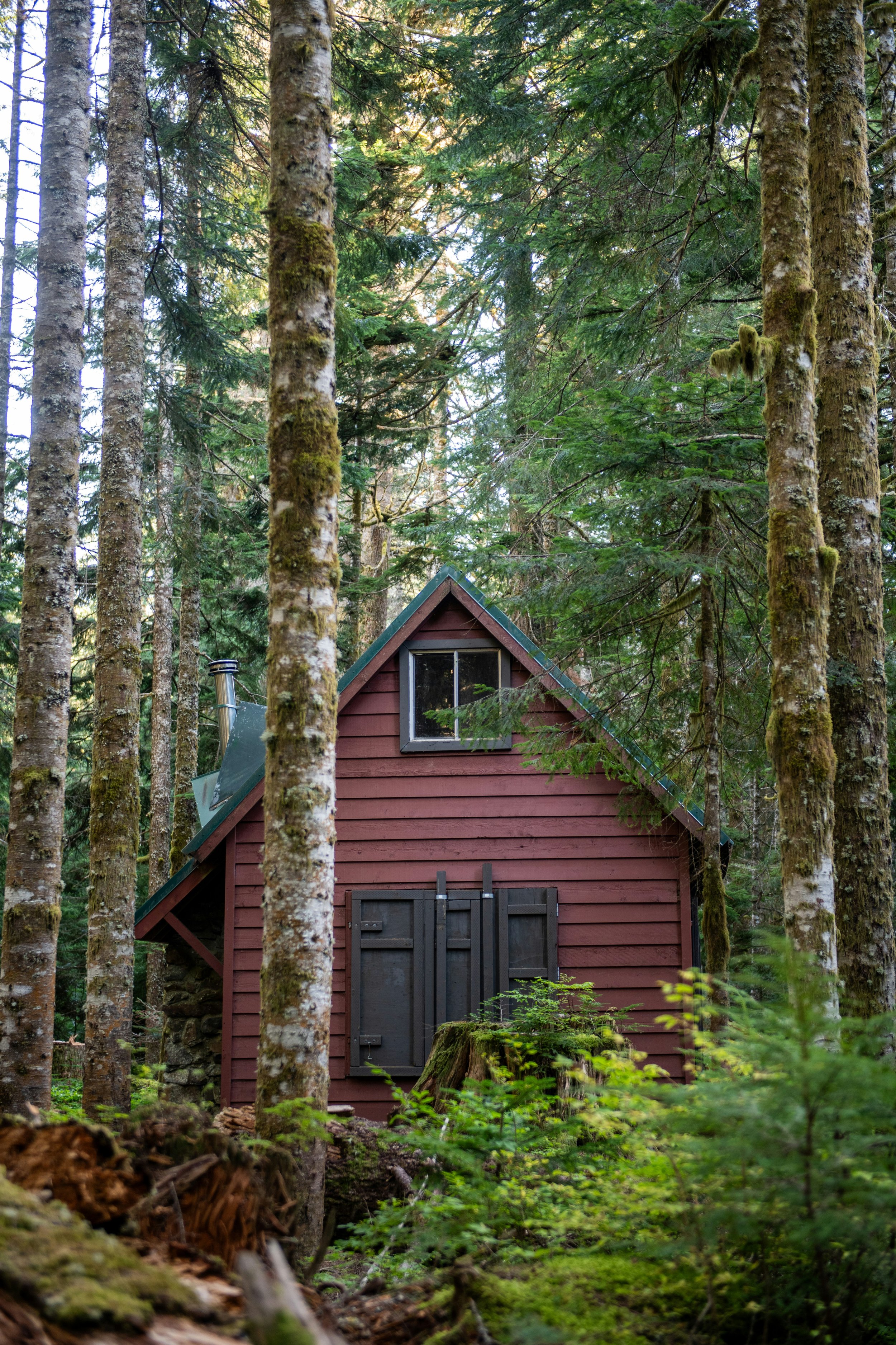 Photo by Holly Landkammer on Unsplash