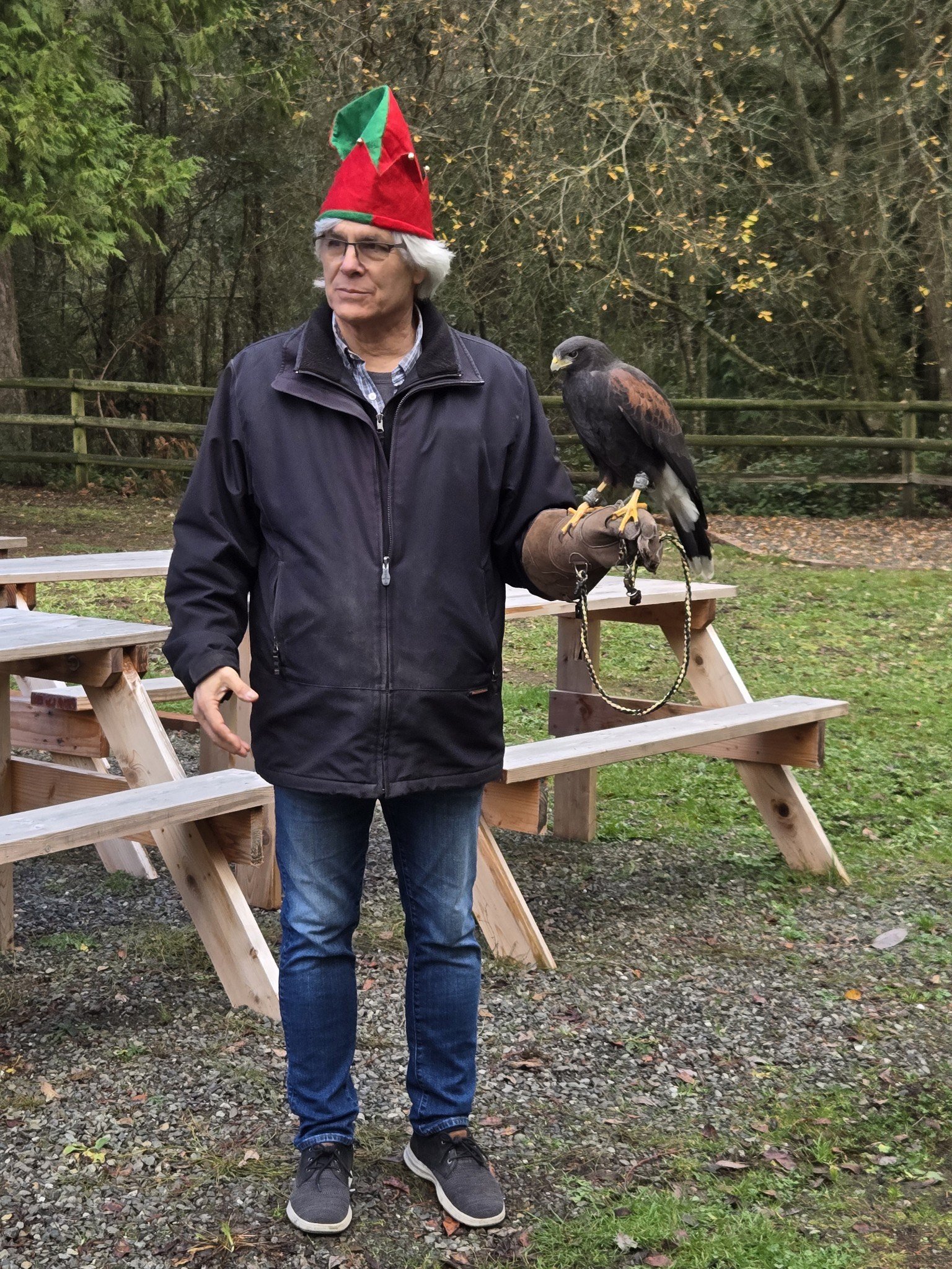  Volunteer Terry Persun holds a retired falcoln. 