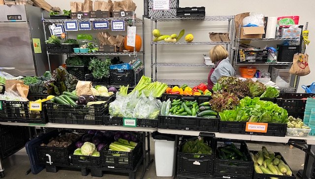   The produce at the Port Townsend Food Bank, a great deal of which was locally grown. Photo Courtesy of the Port Townsend Food Bank.  