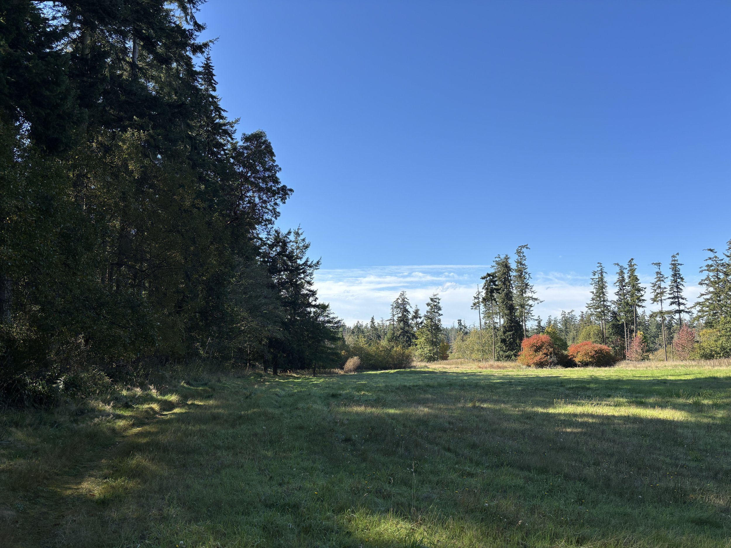 Photo of the proposed green burial site by Erik Kingfisher