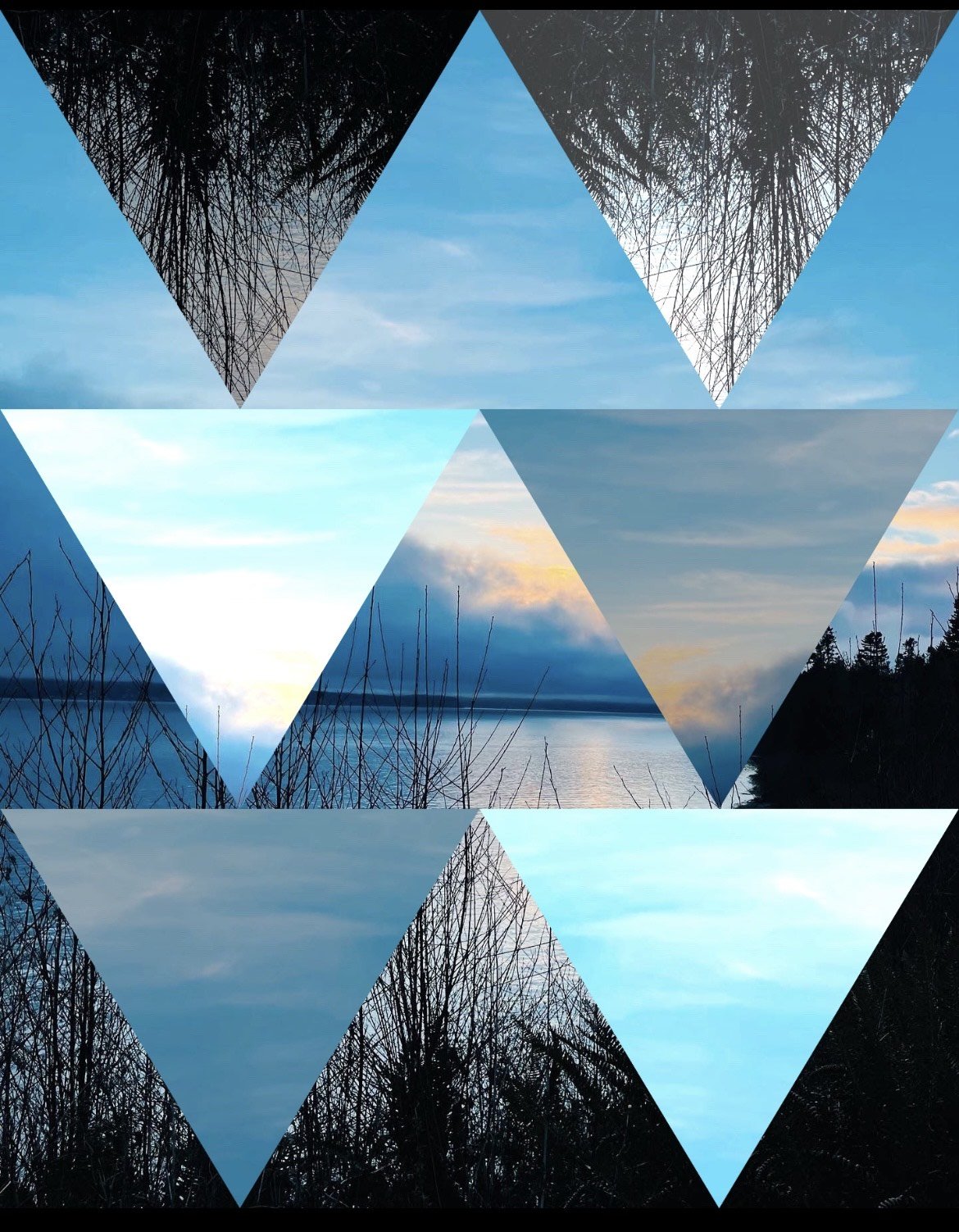   Image by Amber Autumn Leaves Huntsman  