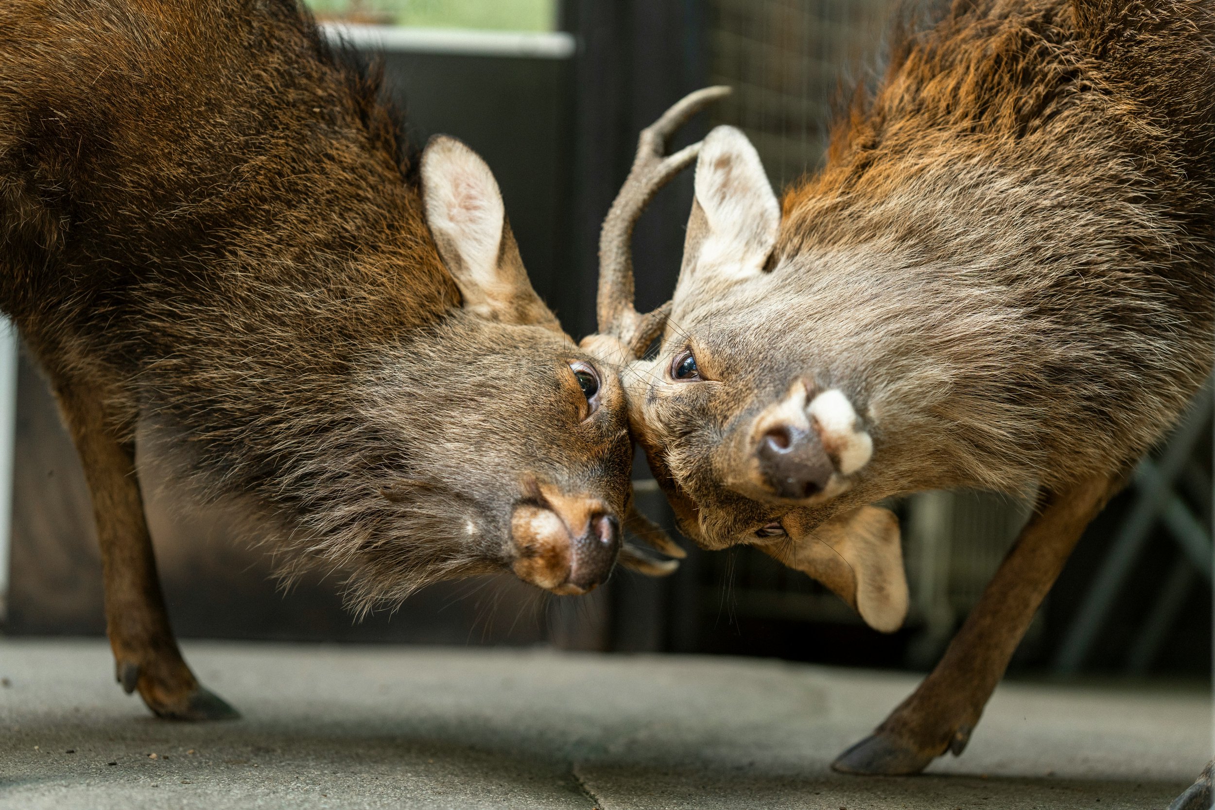   Photo by    Maxence Pira    on    Unsplash            