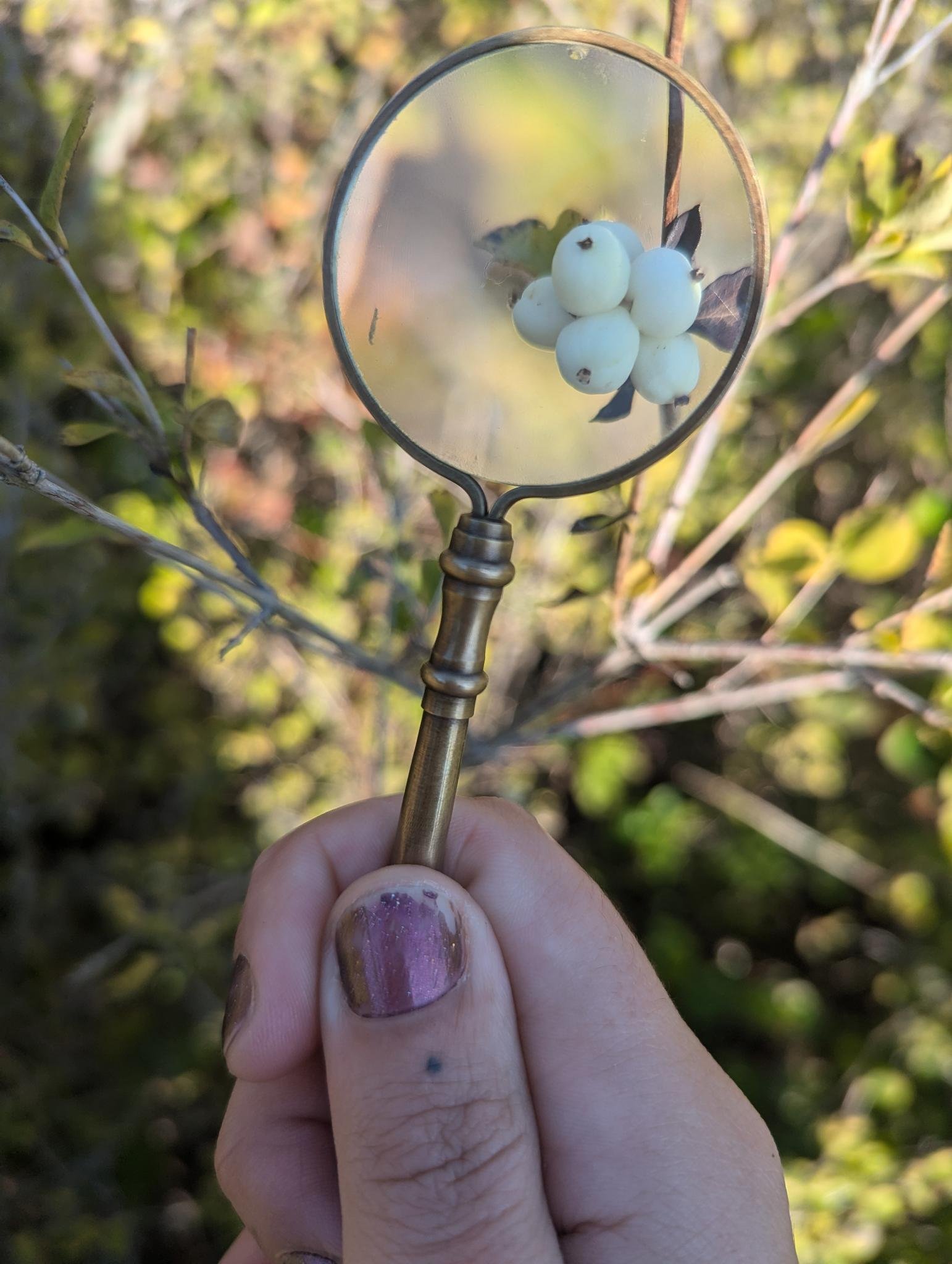   Photo by Eden Blooms  