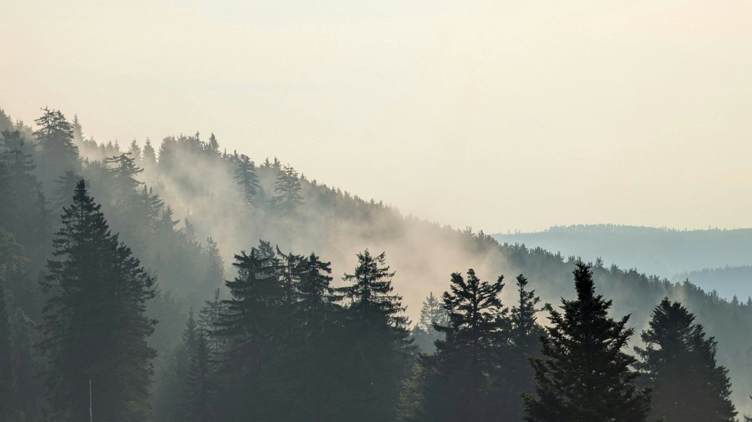   Photo by Jako Janse van Rensburg, Unsplash  