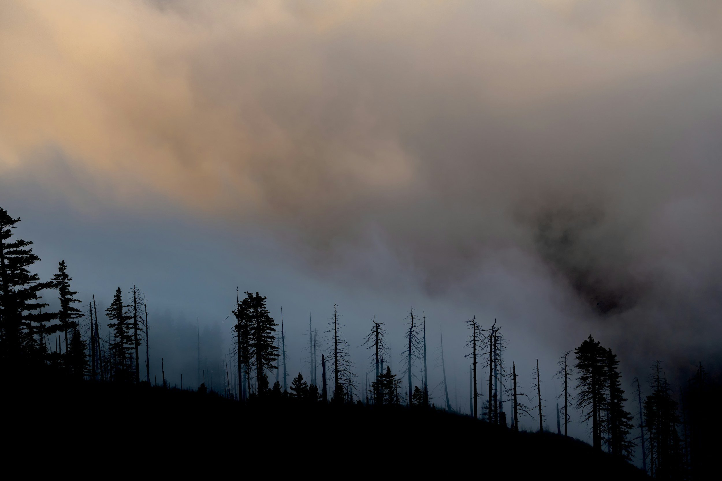   Wildfire smoke contains harmful gasses and fine particles. Photo courtesy of Unsplash  