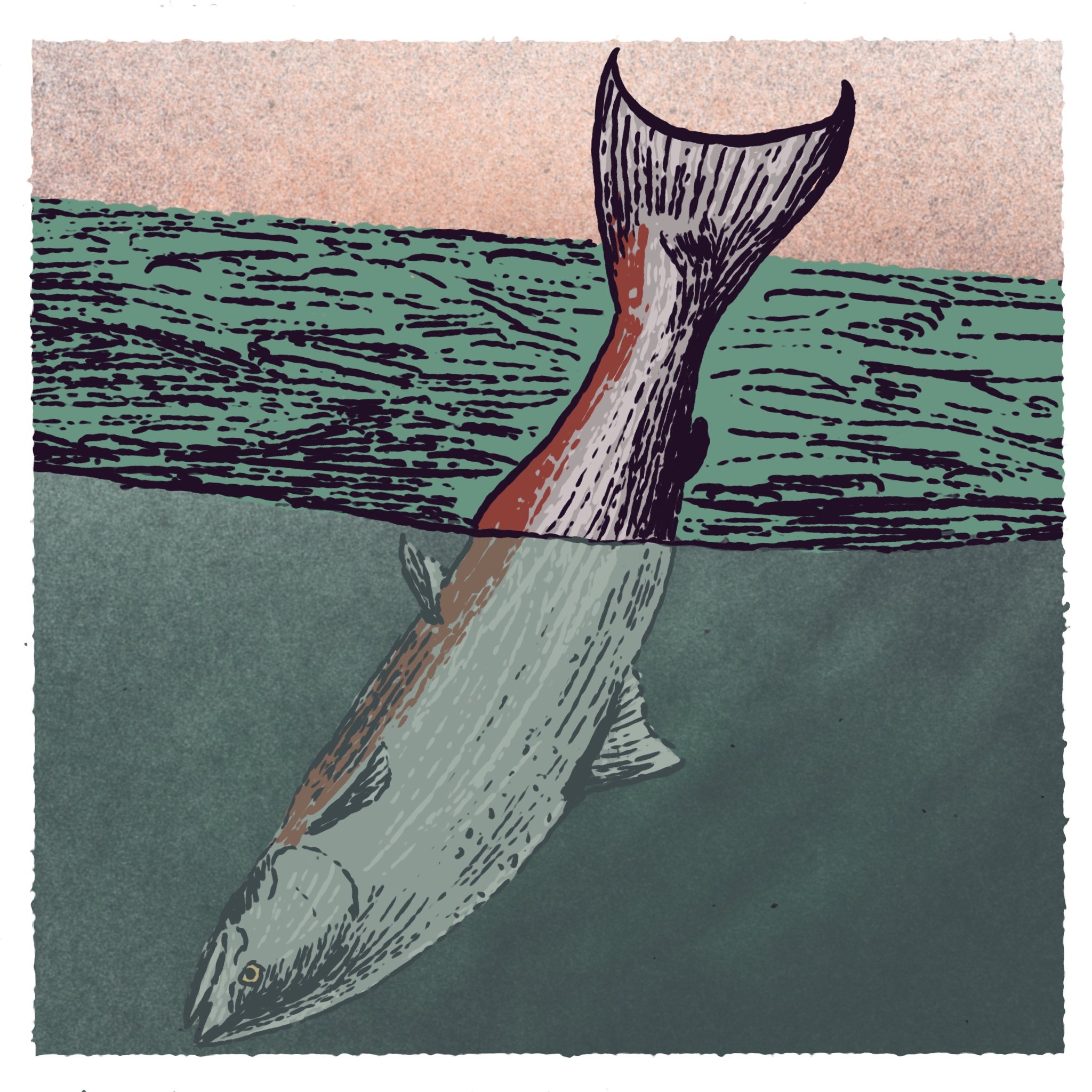   Illustration by Nhatt Nichols  