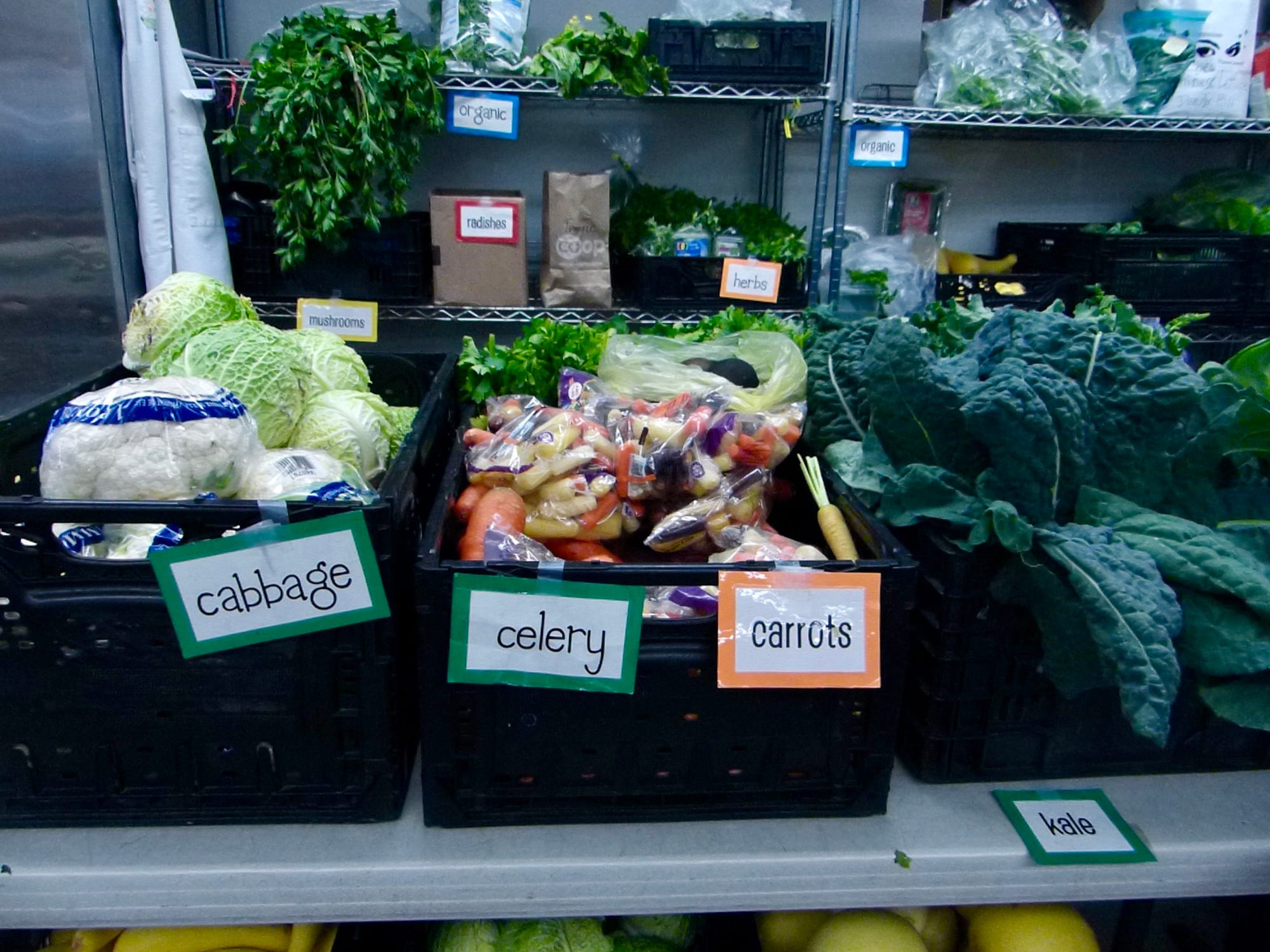 Bins of produce, in the foreground signs say "cabbage", "celery", "carrots and "kale" from left to right in front of the items.