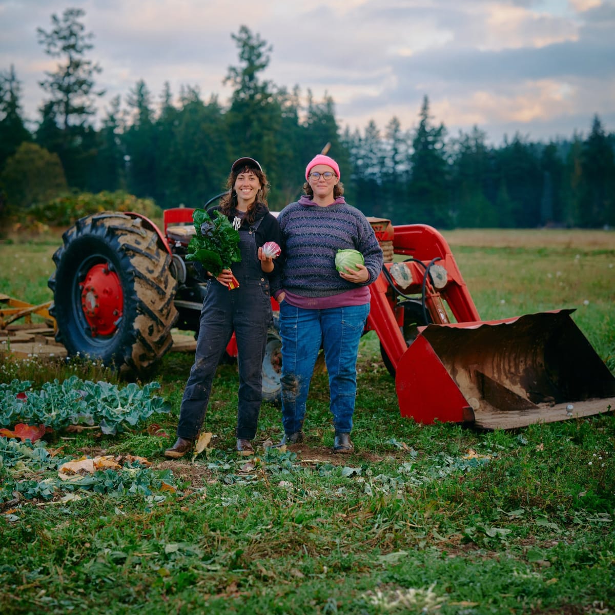 Cultivating Food Security with Goosefoot Farm