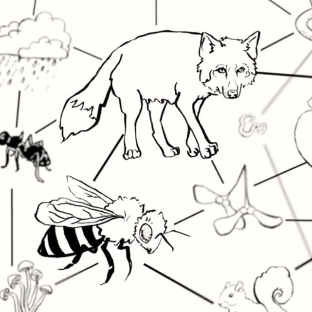 Citizen Screen: How often have you wondered if you make a difference in the world? If your actions have any impact?