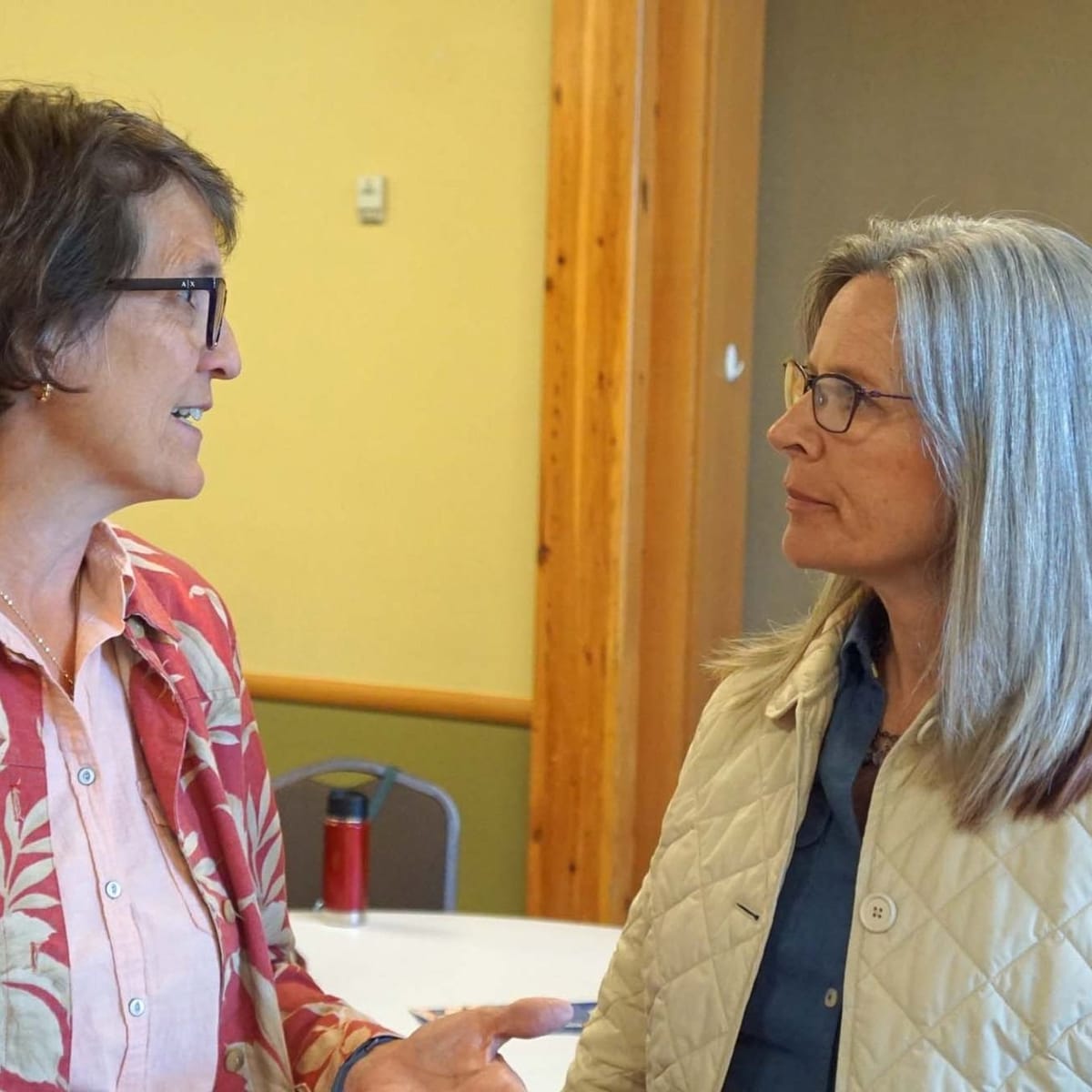 The Long Run: Primary Preview