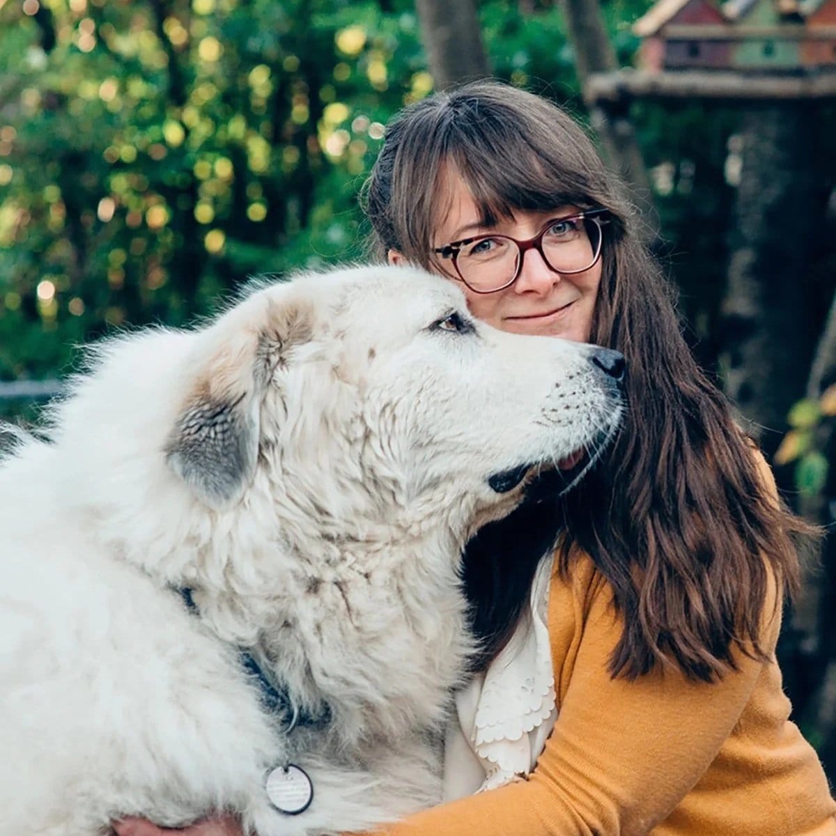 Art and Life at Northwind: Affordable Creativity