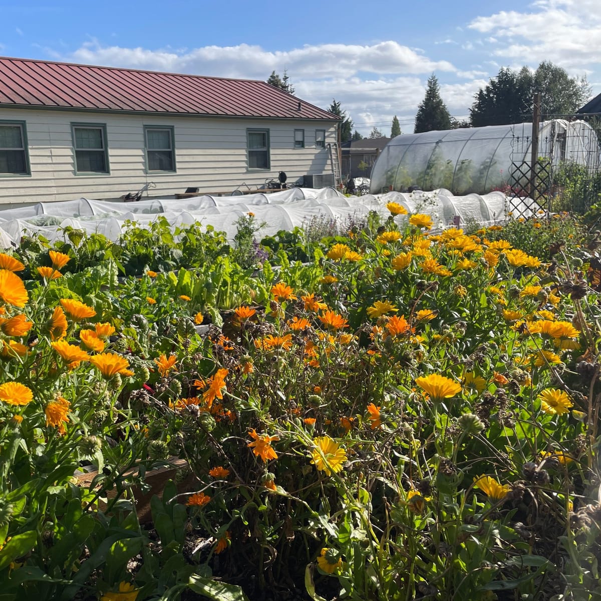 Quimper Grange has a History Worth Growing On