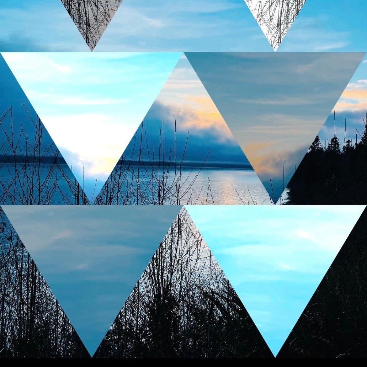 Feral Feelings: The Power of Triangles