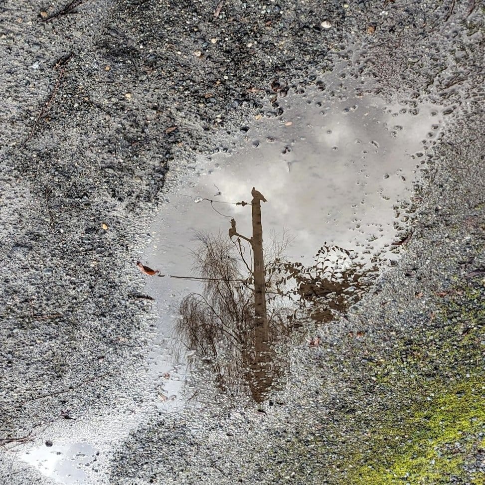 So You Want to Talk About Potholes