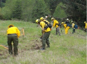 Increased Wildfire Risk in Western Washington: EJFR Encourages Preparedness and Safety Measures