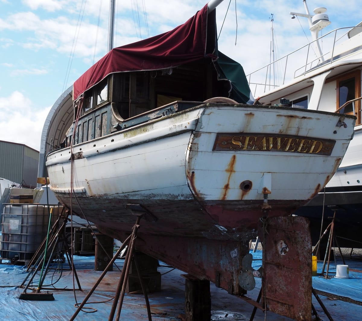 Saving Seaweed: Indigenous history in need of attention