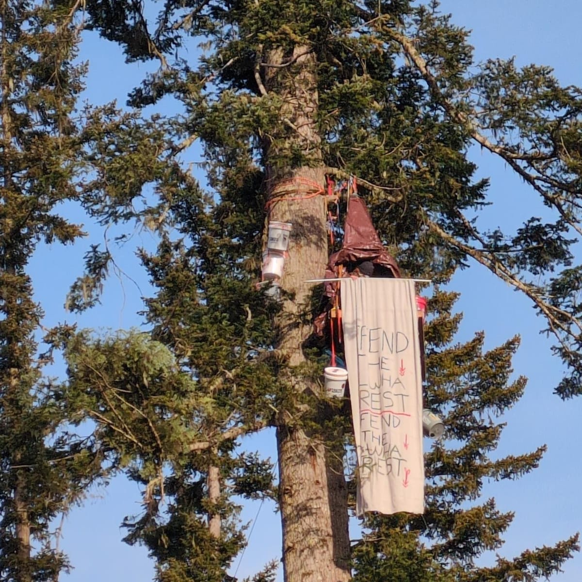 Activists Set Up Blockade to Protest Logging at Parched Timber Sale