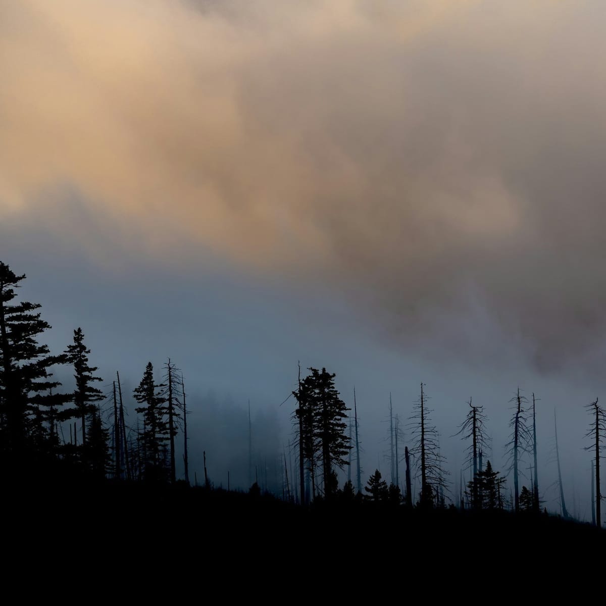 Wildfire Smoke Safety: Protecting Your Health During Smoky Conditions