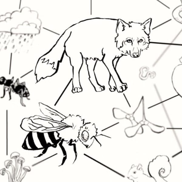 Citizen Screen: How often have you wondered if you make a difference in the world? If your actions have any impact?