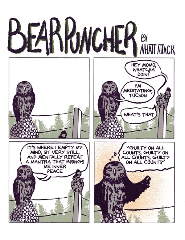 Bear puncher