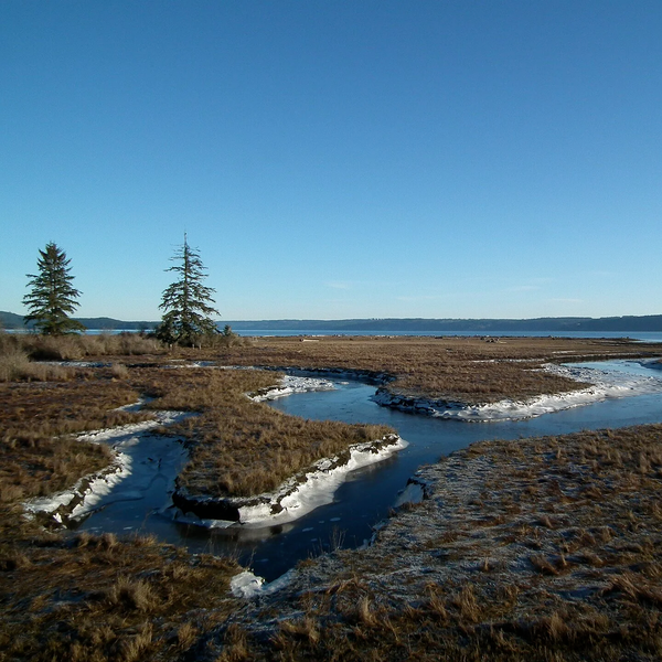 Stakeholders Join to Break Logjam Stifling Brinnon’s Progress