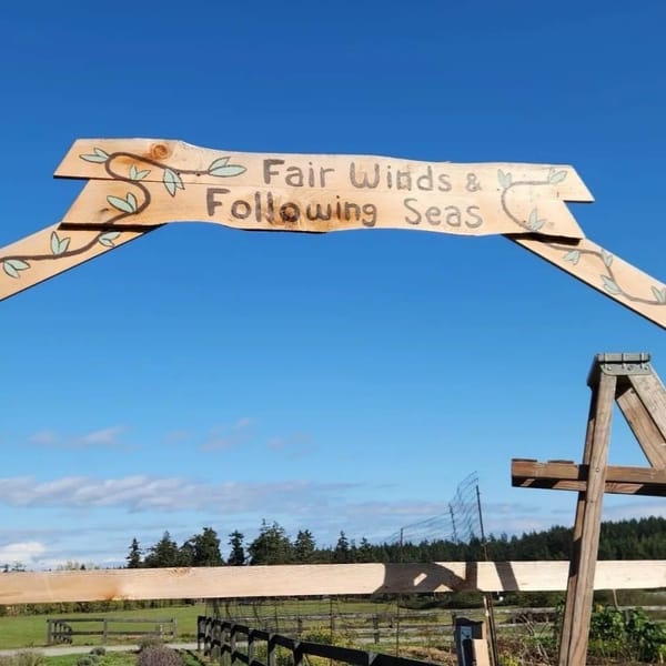 Food Bank Growers Cultivate Hope and Community Resilience Through Sustainable Gardening Initiatives