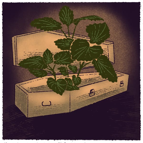 The Intersectionality of Grief: Kitchen Medicine for the People, Part Two