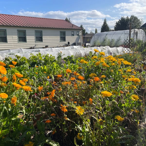 Quimper Grange has a History Worth Growing On