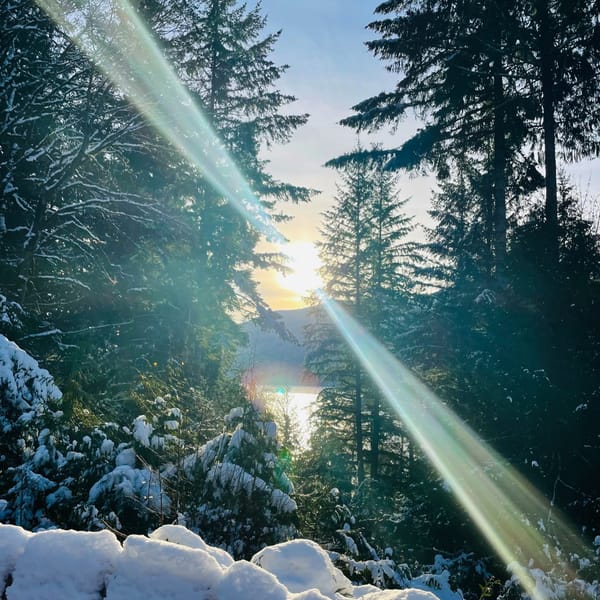 Feral Feelings: Wintering