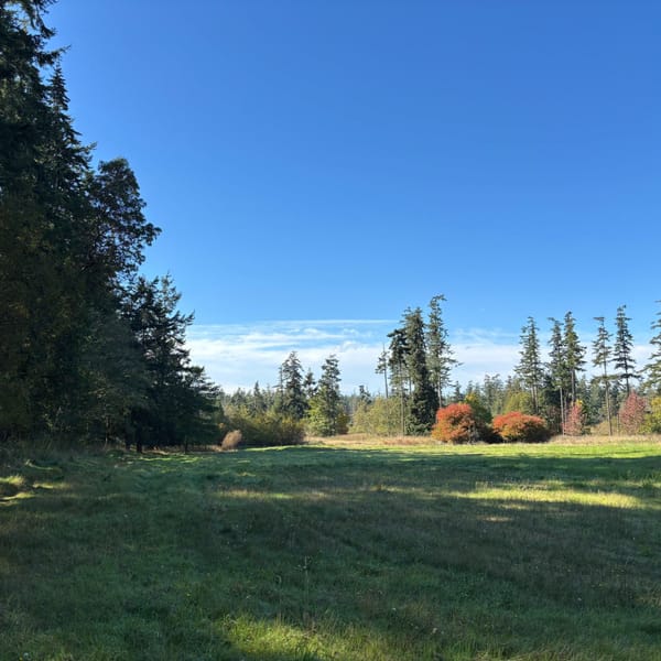 Land Trust Ends Exploration of Marrowstone Green Burial Site