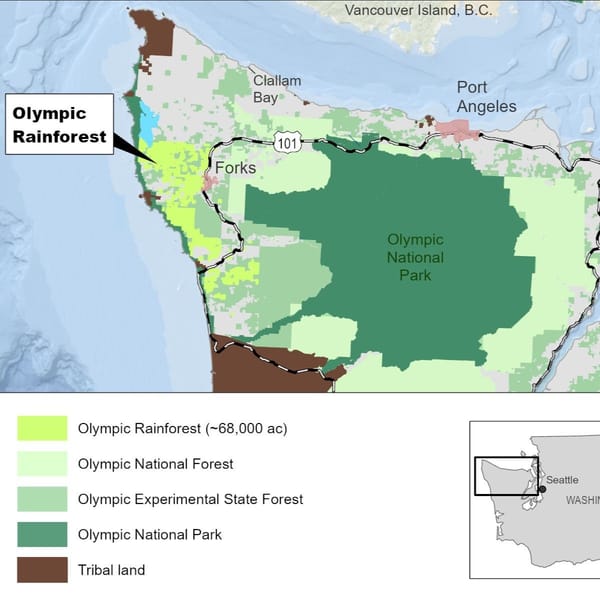 EFM Secures Major Carbon Credit Agreement with Microsoft, Aims for Enhanced Forest Health and Economic Viability