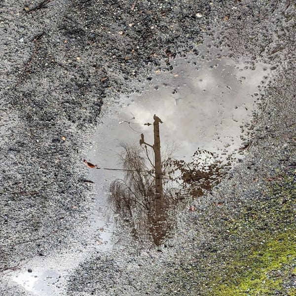 So You Want to Talk About Potholes