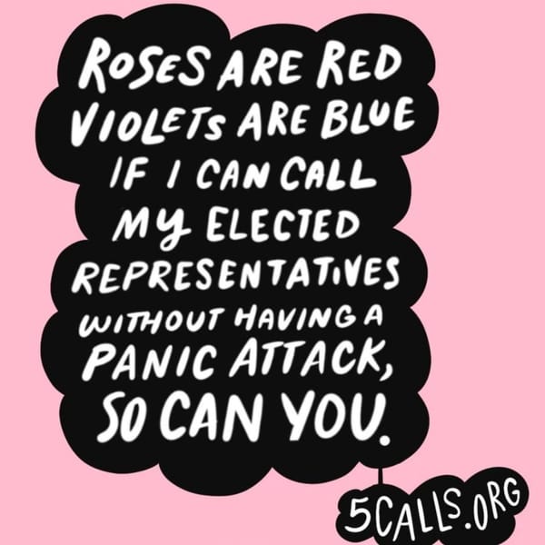 Opinion: Make Your Voice Heard, Call Your Reps!