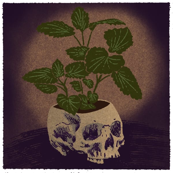 The Intersectionality of Grief: Kitchen Medicine for the People