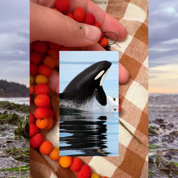 Feral Feelings: Majestic Rage