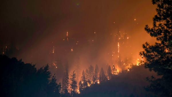 In wildfire-prone Washington, ‘collaboration’ on forest management gives way to timber interests