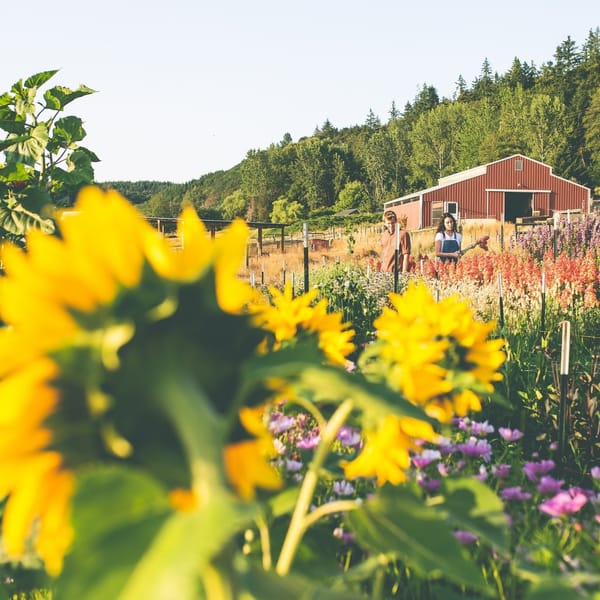 Art and Life at Northwind: Intertwined Surrealism