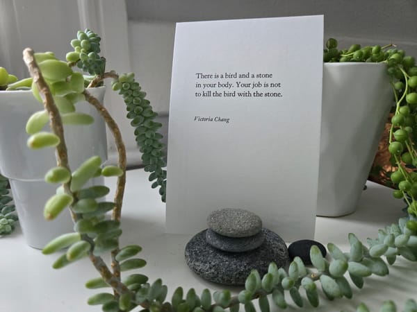 Desk with succulents, featuring words by poet Victoria Chang: “There is a bird and a stone in your body. Your job is not to kill the bird with the stone.”